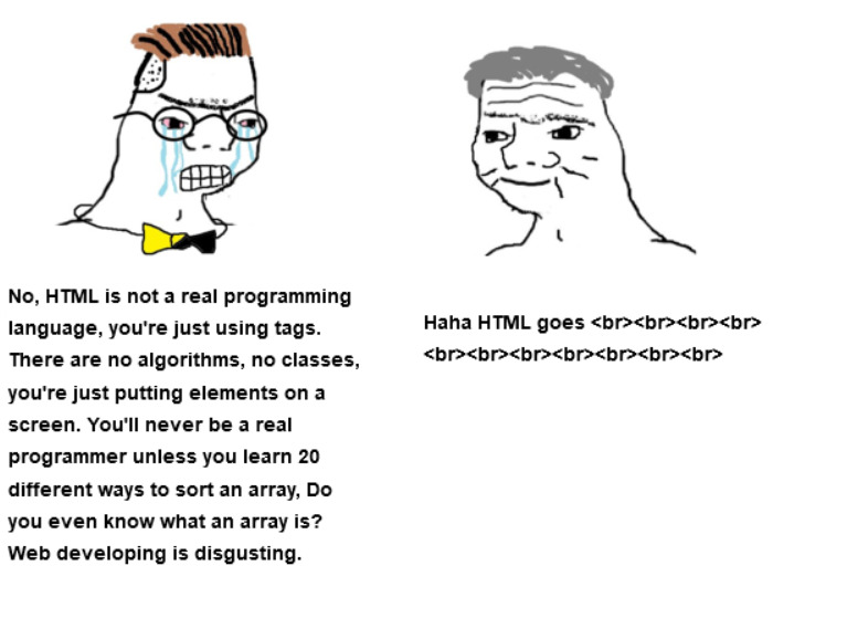 A meme where one person says, crying with rage, "No, HTML is not a real programming language, you're just using tags. There are no algorithms, no classes, you're just putting elements on a screen. You'll never be a real programmer unless you learn 20 different ways to sort an array, Do you even know what an array is? Web developing is disgusting." The other person, with a sort of dim smile on his face, replies "Haha HTML goes br br br br br br br br br br br" with HTML break tags.